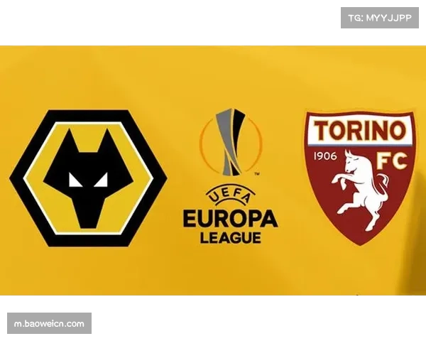 狼队虽五场不败仍深陷降级区，与安全区十四分差距保级前景黯淡